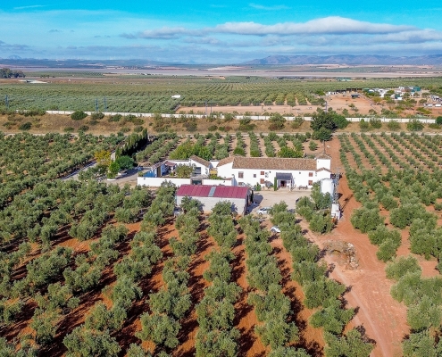 Vista aérea - Cortijo del Coco Alojamiento Rural