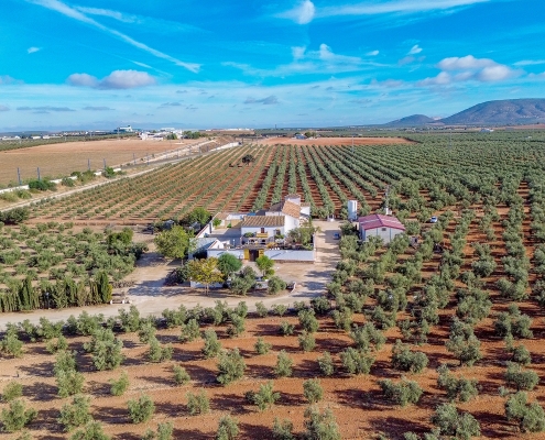 Vista aérea - Cortijo del Coco Alojamiento Rural