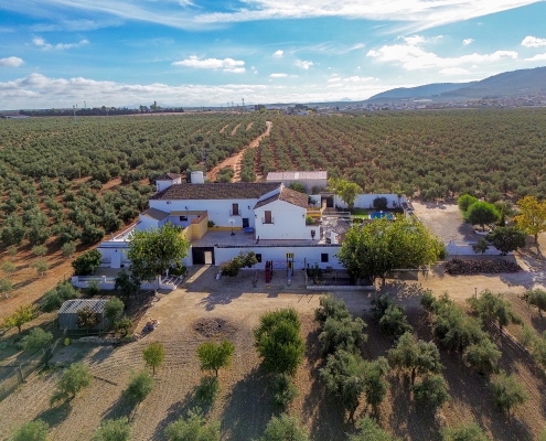 Vista aérea - Cortijo del Coco Alojamiento Rural